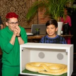 kid trying guess what inside the box and there is snake