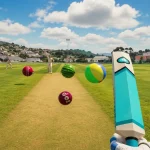 VR Cricket game inside